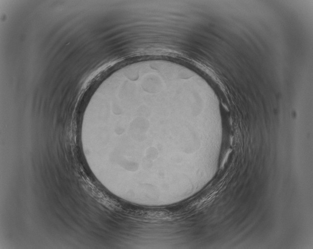 X0000084020979200703161735