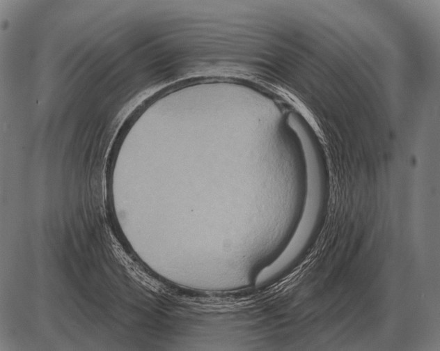 X0000084020980200703161735