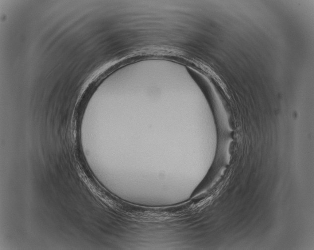 X0000084020981200703161735