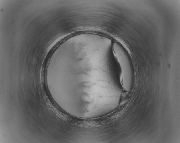 X0000084020983200703161735