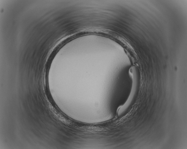 X0000084020984200703161735