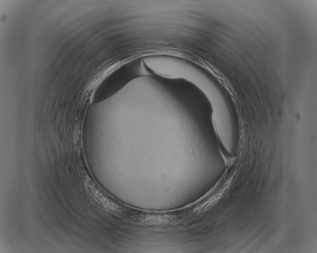 X0000084020985200703161735