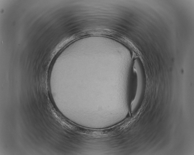 X0000084020986200703161735