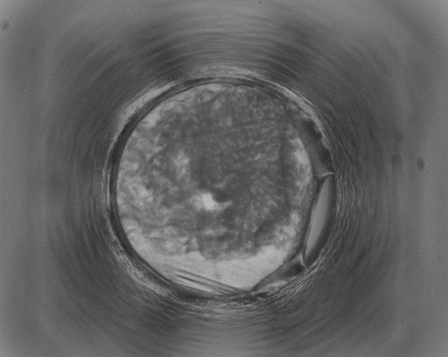 X0000084020987200703161735