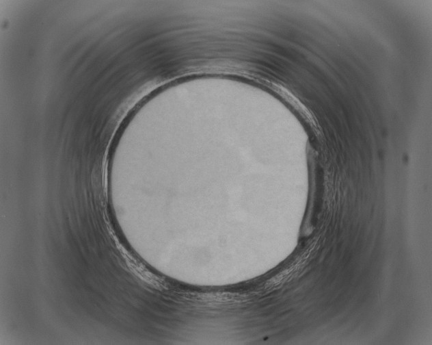 X0000084020988200703161735