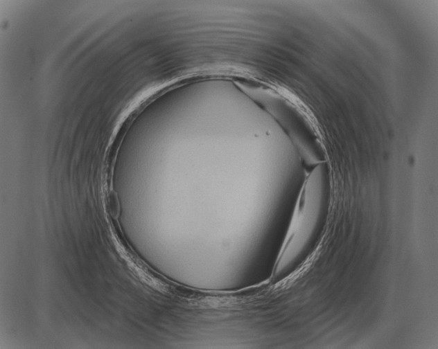 X0000084020989200703161735