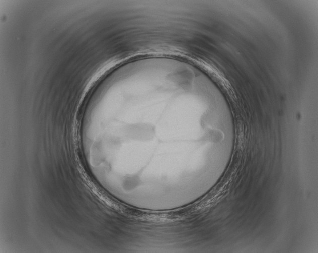 X0000084020990200703161735