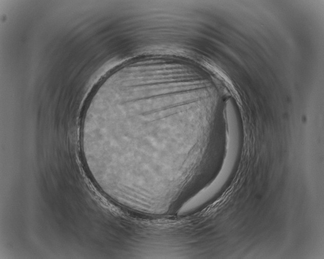 X0000084020992200703161735