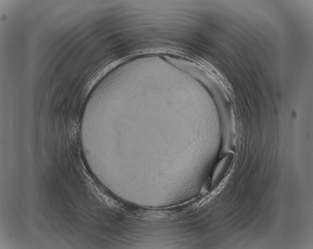 X0000084020993200703161735