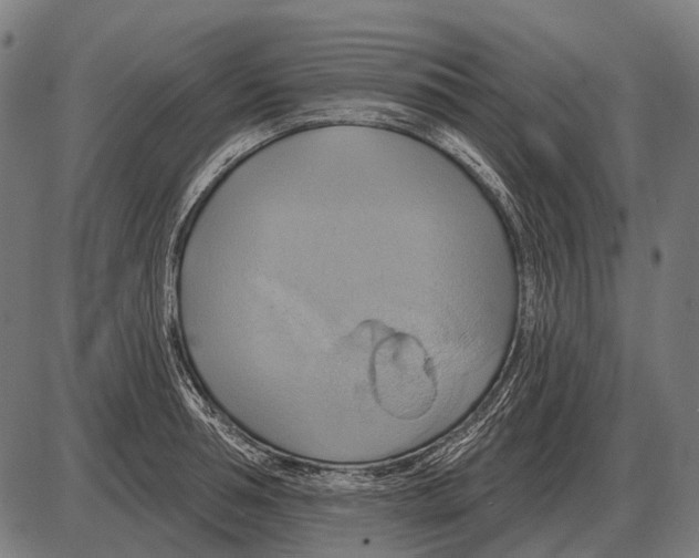 X0000084020994200703161735