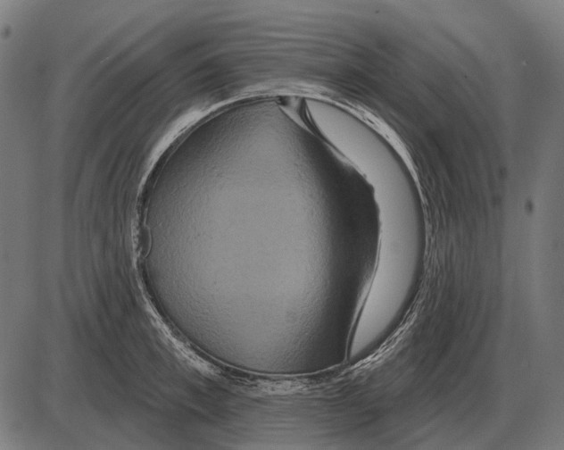 X0000084020997200703161735