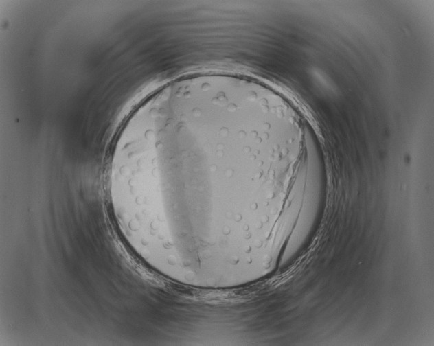 X0000084020998200703161735