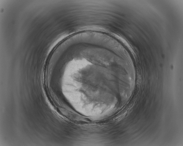 X0000084020999200703161735