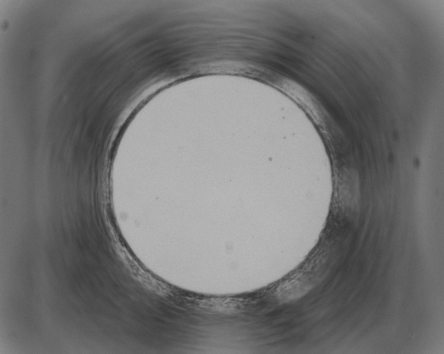 X0000084021000200703161735