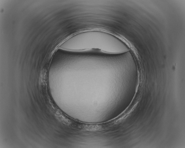 X0000084021001200703161735