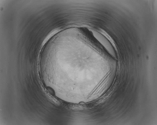 X0000084021002200703161735