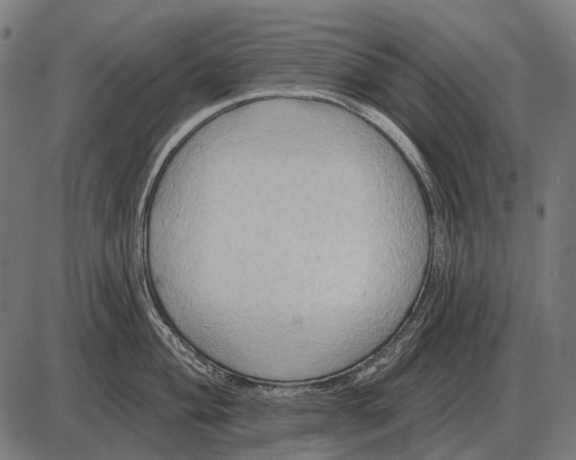 X0000084021004200703161735