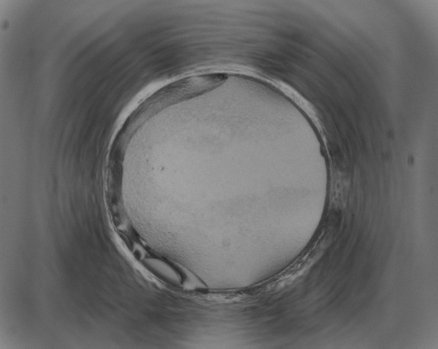 X0000084021005200703161734