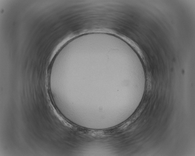 X0000084021006200703161734