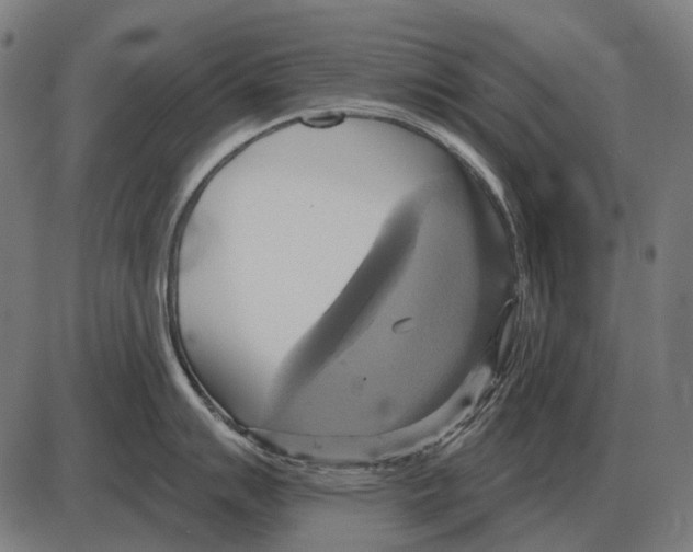 X0000084021007200703161734