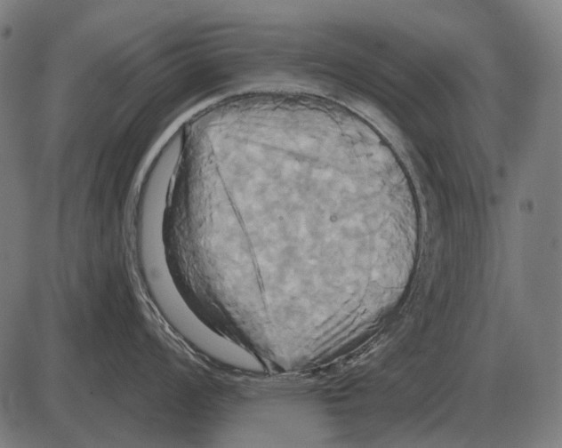 X0000084021008200703161734