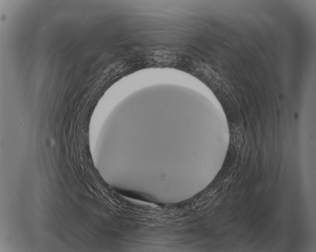 X0000084021009200703161734