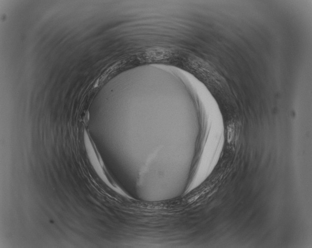 X0000084021011200703161734