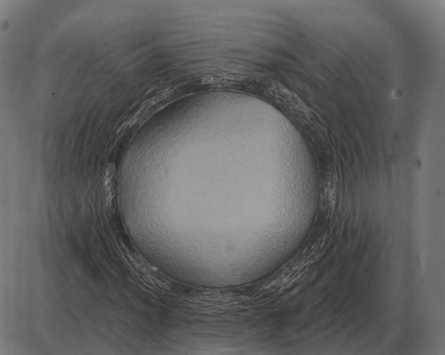 X0000084021012200703161734