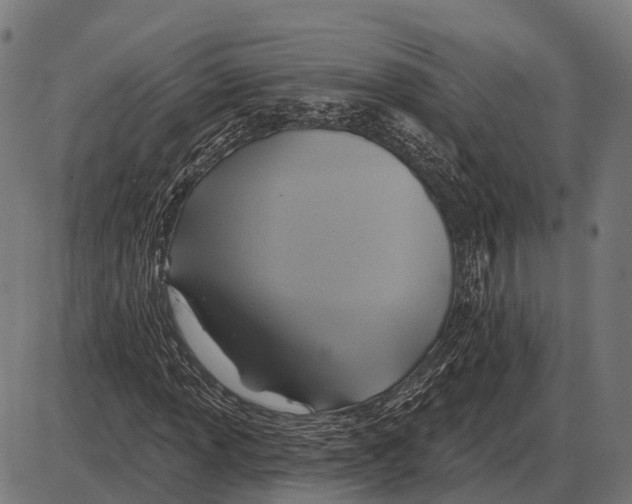 X0000084021013200703161734