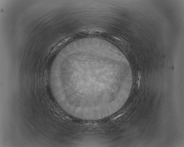 X0000084021014200703161734