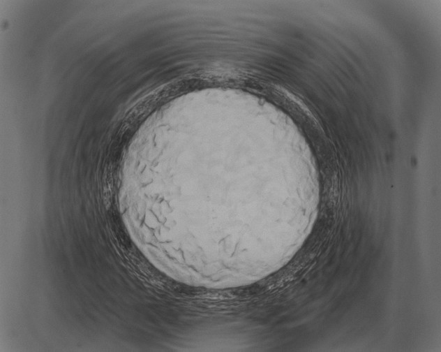 X0000084021015200703161734