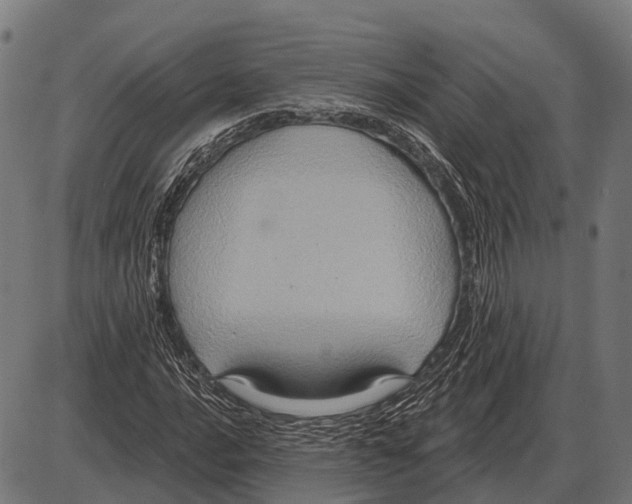 X0000084021016200703161734