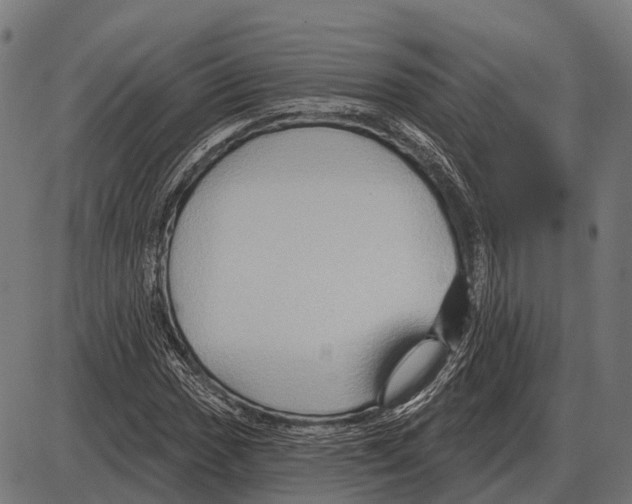 X0000084021017200703161734