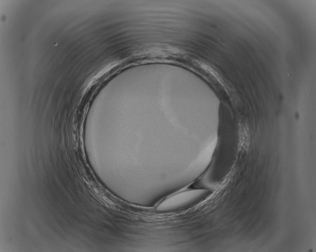 X0000084021018200703161734