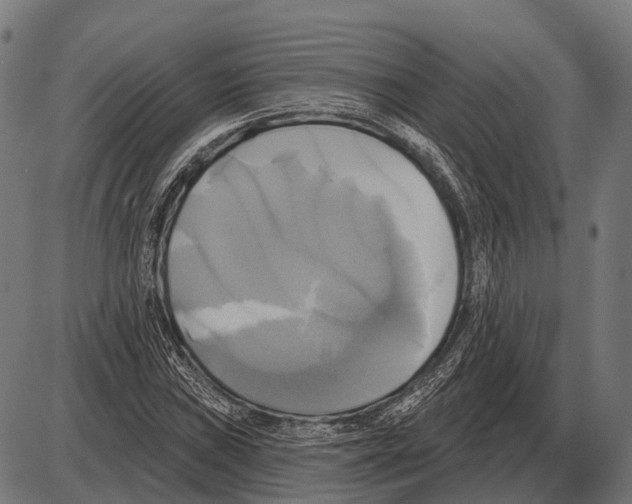 X0000084021019200703161734