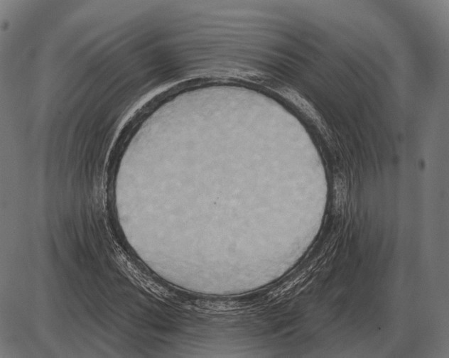 X0000084021020200703161734