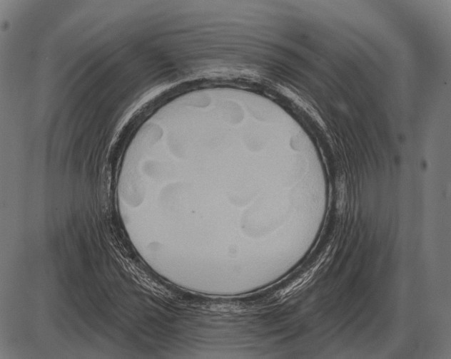 X0000084021021200703161734