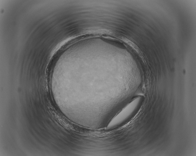 X0000084021022200703161734