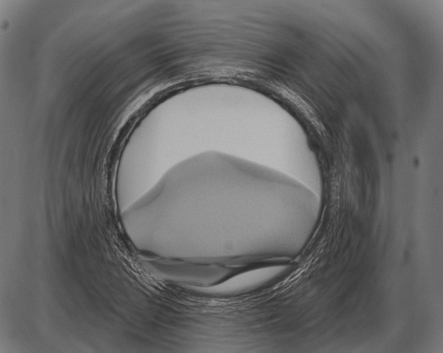 X0000084021023200703161734