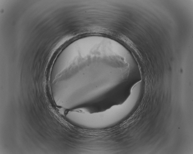 X0000084021024200703161734