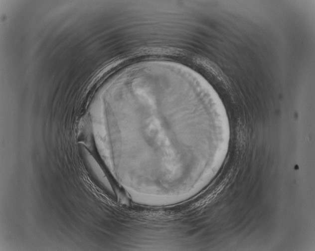 X0000084021025200703161734