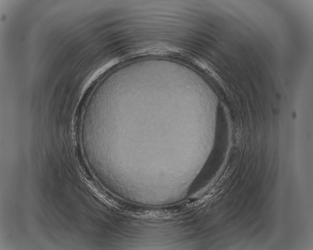 X0000084021026200703161734