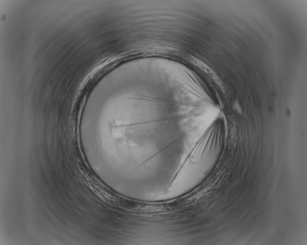 X0000084021027200703161734