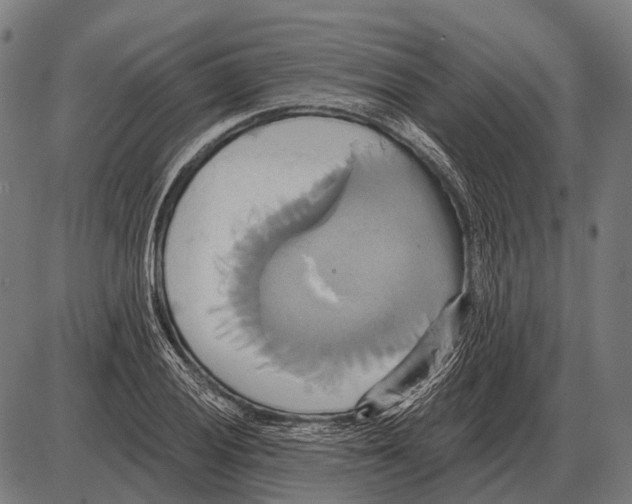 X0000084021028200703161734