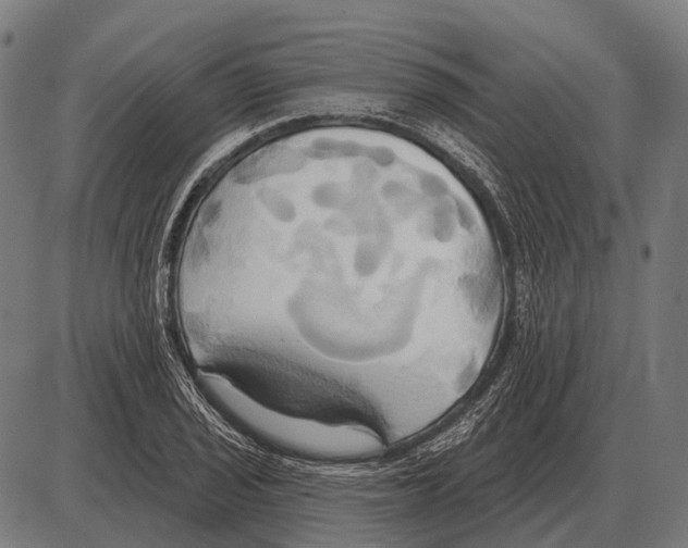 X0000084021029200703161734