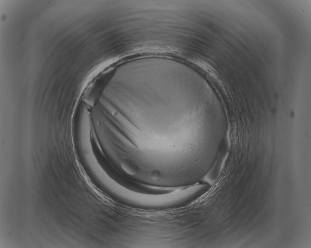 X0000084021030200703161734