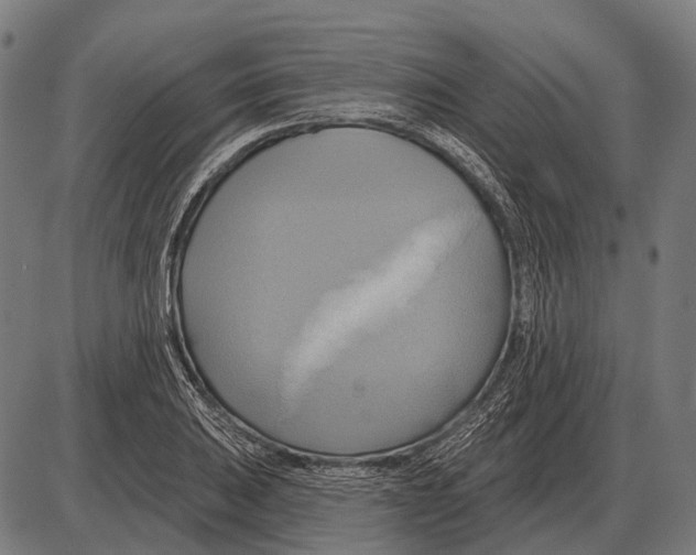 X0000084021031200703161734