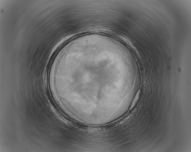 X0000084021032200703161734