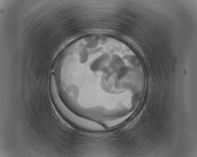 X0000084021033200703161734