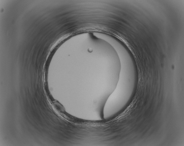 X0000084021034200703161734